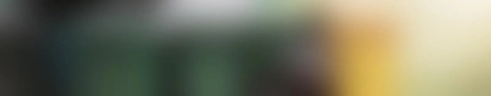 نقل العفش والأثاث بالرياض